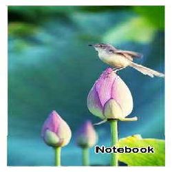 Customized Notebooks